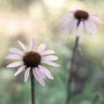 can it одежда для похудения