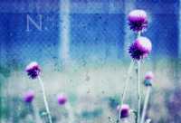 нлп похудение