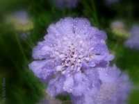 похудение воронеж